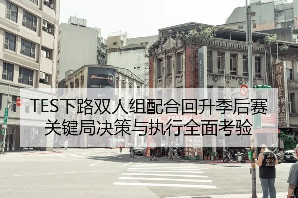TES下路双人组配合回升季后赛关键局决策与执行全面考验